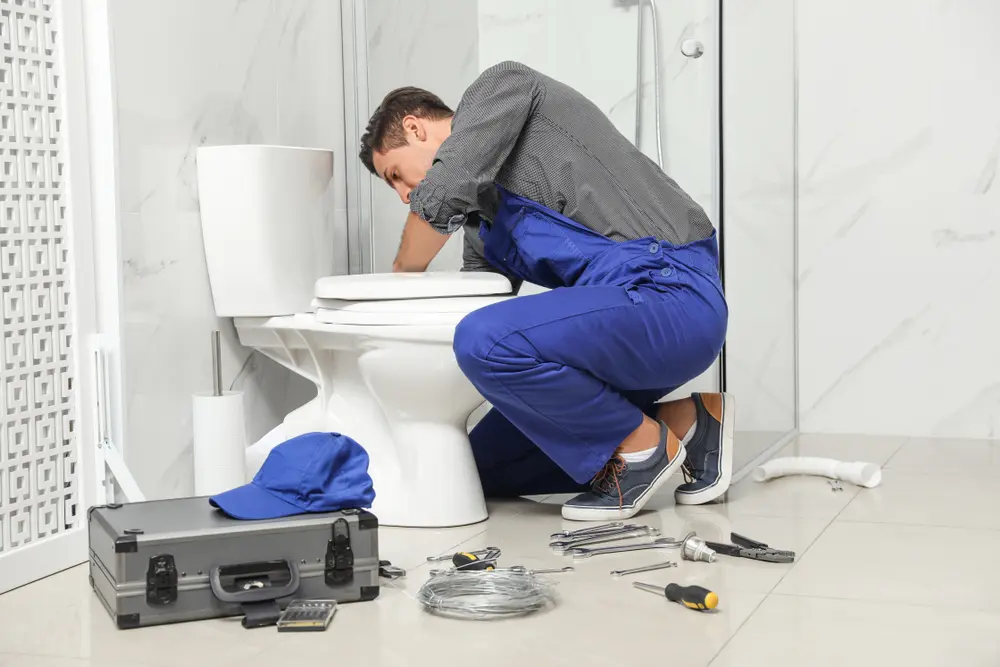 Toilet Installation in Forestville